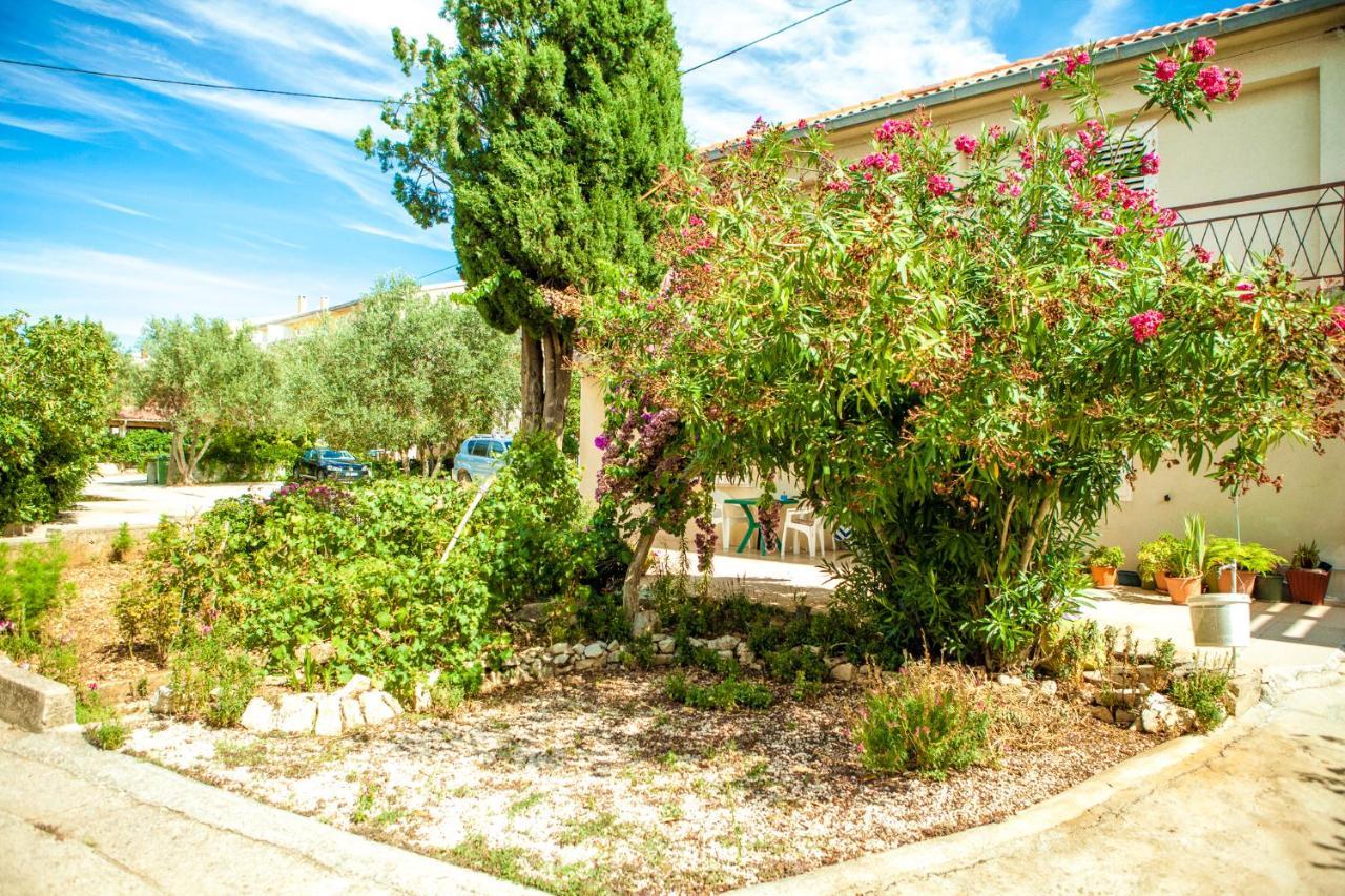 Apartments Alma Novalja Extérieur photo