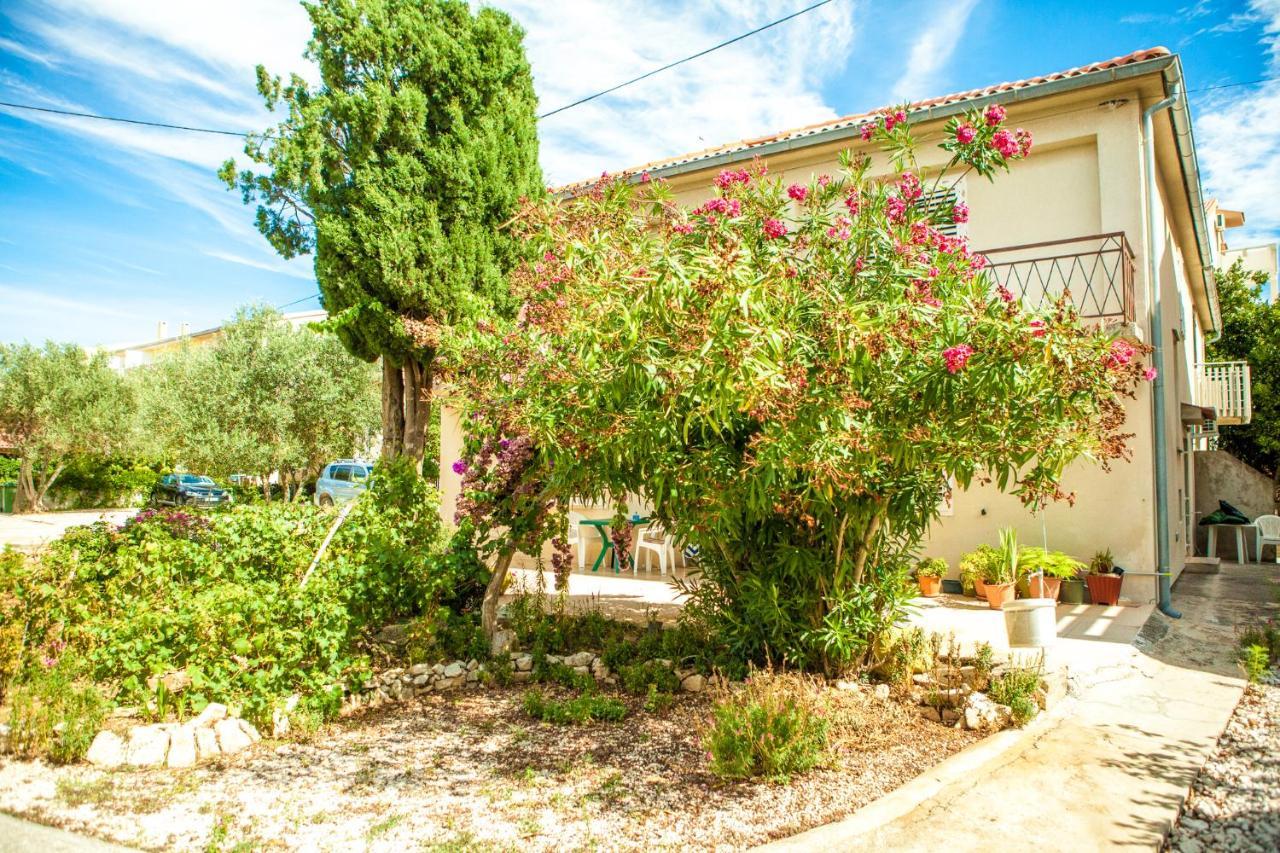 Apartments Alma Novalja Extérieur photo