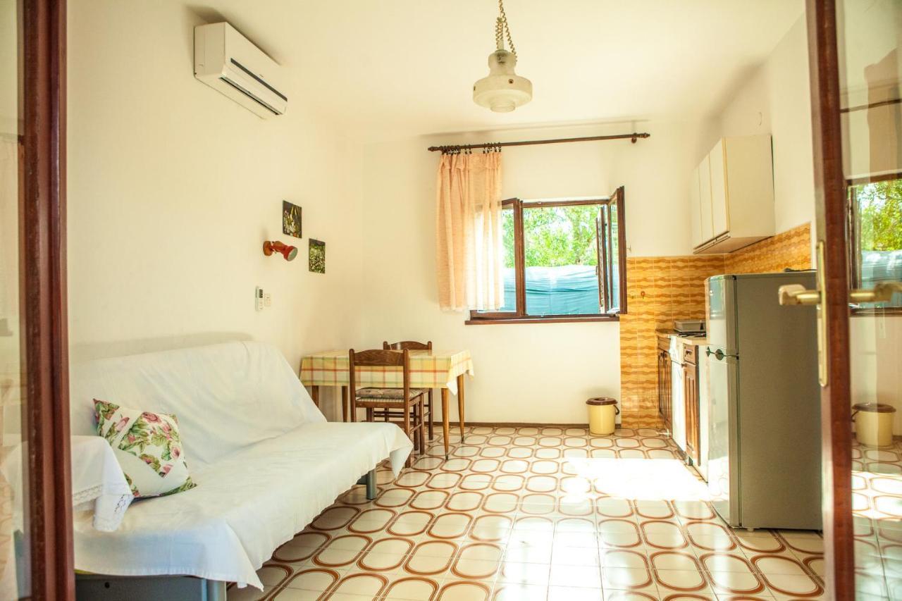 Apartments Alma Novalja Extérieur photo