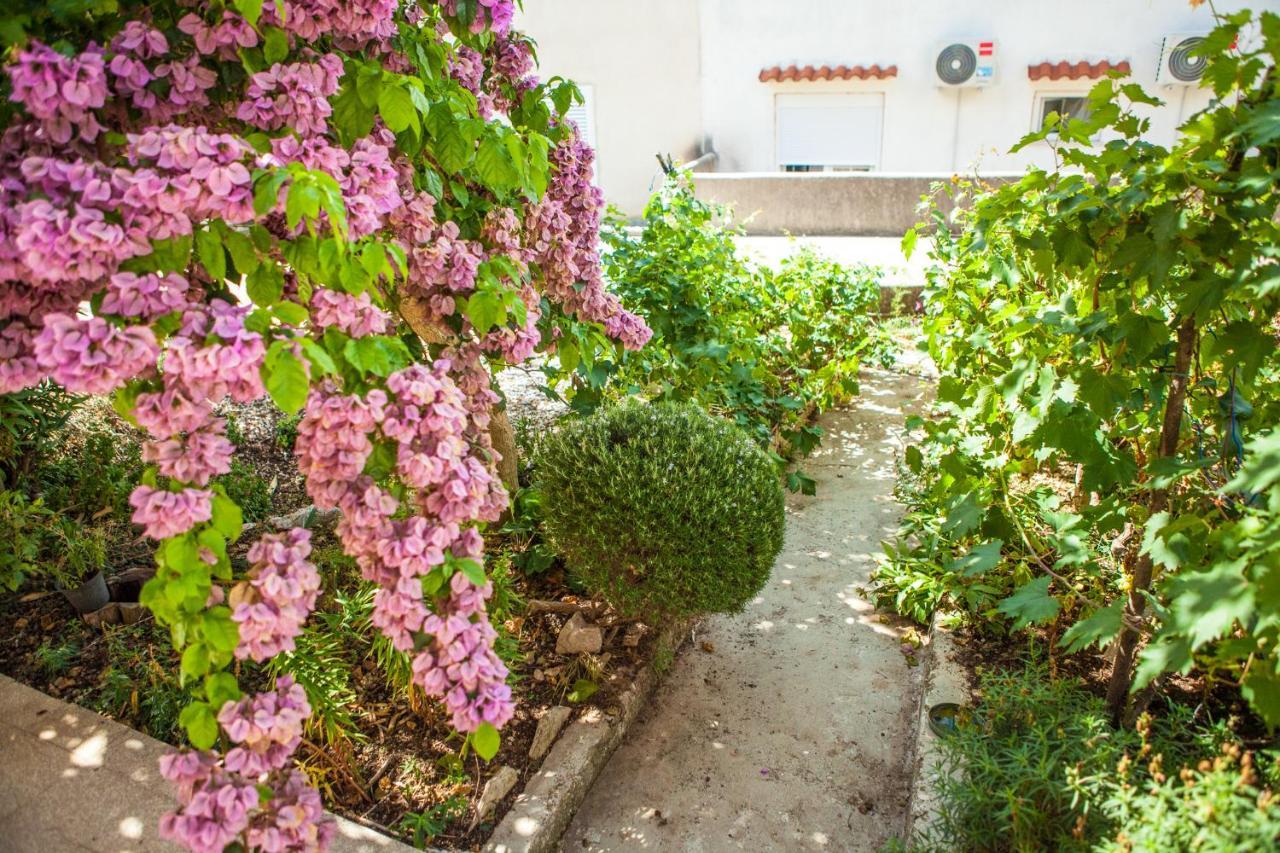 Apartments Alma Novalja Extérieur photo
